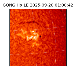 gong - 2025-09-20T01:00:42