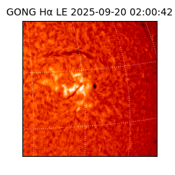 gong - 2025-09-20T02:00:42