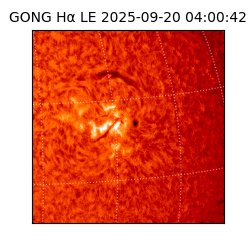 gong - 2025-09-20T04:00:42