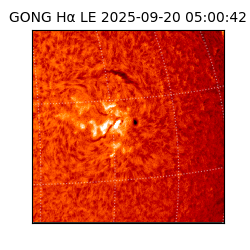 gong - 2025-09-20T05:00:42