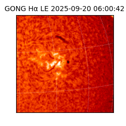 gong - 2025-09-20T06:00:42