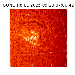 gong - 2025-09-20T07:00:42