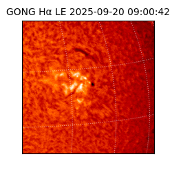 gong - 2025-09-20T09:00:42