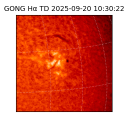 gong - 2025-09-20T10:30:22