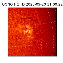 gong - 2025-09-20T11:00:22