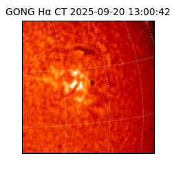 gong - 2025-09-20T13:00:42