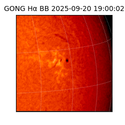 gong - 2025-09-20T19:00:02