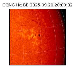 gong - 2025-09-20T20:00:02