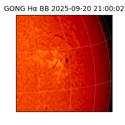 gong - 2025-09-20T21:00:02