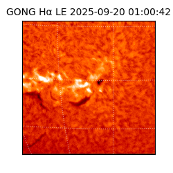 gong - 2025-09-20T01:00:42