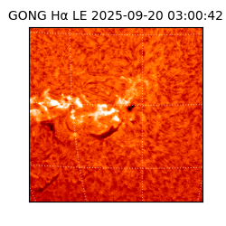 gong - 2025-09-20T03:00:42