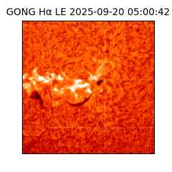 gong - 2025-09-20T05:00:42