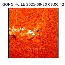 gong - 2025-09-20T08:00:42