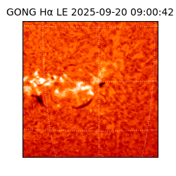 gong - 2025-09-20T09:00:42