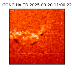 gong - 2025-09-20T11:00:22