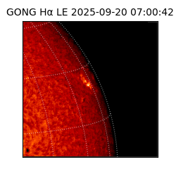 gong - 2025-09-20T07:00:42