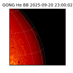 gong - 2025-09-20T23:00:02