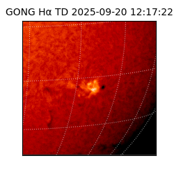 gong - 2025-09-20T12:17:22