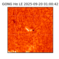 gong - 2025-09-20T01:00:42