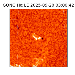 gong - 2025-09-20T03:00:42