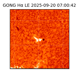 gong - 2025-09-20T07:00:42