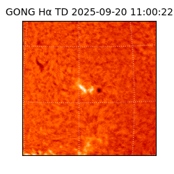 gong - 2025-09-20T11:00:22