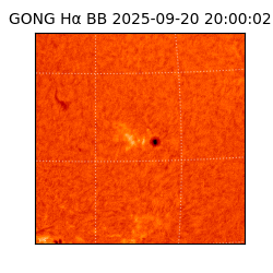 gong - 2025-09-20T20:00:02