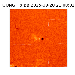 gong - 2025-09-20T21:00:02