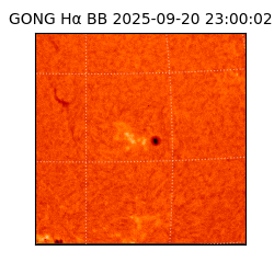 gong - 2025-09-20T23:00:02