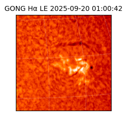 gong - 2025-09-20T01:00:42