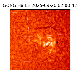 gong - 2025-09-20T02:00:42