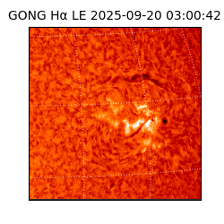 gong - 2025-09-20T03:00:42