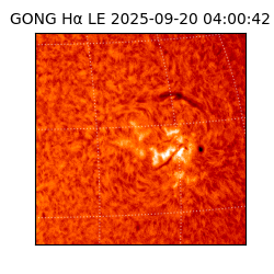 gong - 2025-09-20T04:00:42