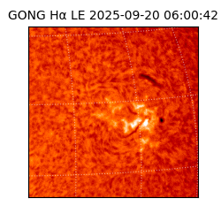 gong - 2025-09-20T06:00:42