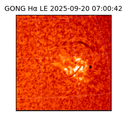 gong - 2025-09-20T07:00:42