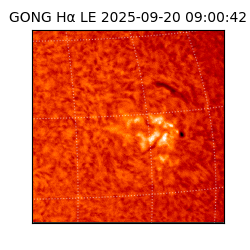 gong - 2025-09-20T09:00:42