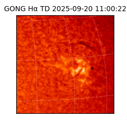 gong - 2025-09-20T11:00:22