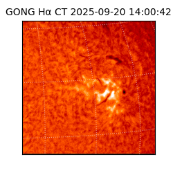 gong - 2025-09-20T14:00:42