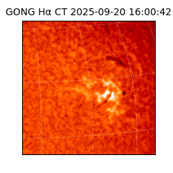 gong - 2025-09-20T16:00:42