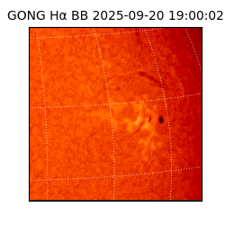 gong - 2025-09-20T19:00:02