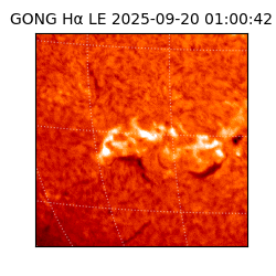 gong - 2025-09-20T01:00:42