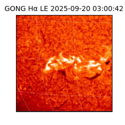 gong - 2025-09-20T03:00:42