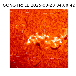 gong - 2025-09-20T04:00:42