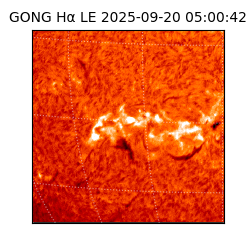 gong - 2025-09-20T05:00:42