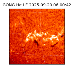 gong - 2025-09-20T06:00:42