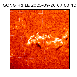 gong - 2025-09-20T07:00:42