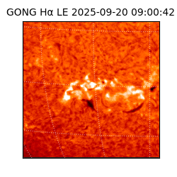 gong - 2025-09-20T09:00:42