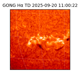 gong - 2025-09-20T11:00:22