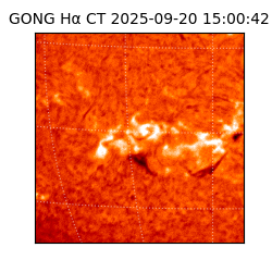 gong - 2025-09-20T15:00:42