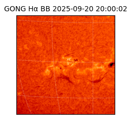 gong - 2025-09-20T20:00:02